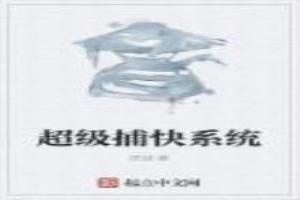 超级捕快系统